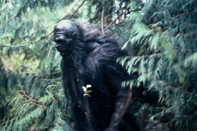 Bigfoot and Cryptozoology