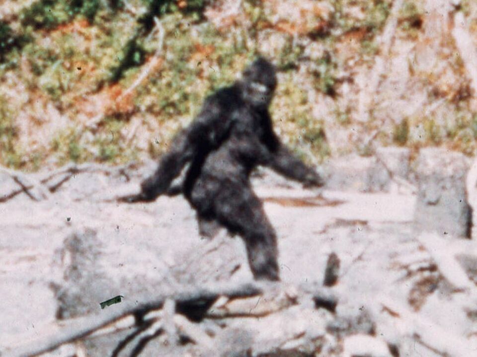 Bigfoot